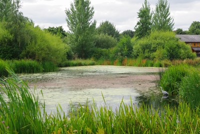 London Wetland Centre