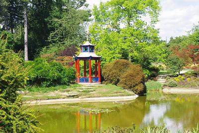 Cliveden Water Garden