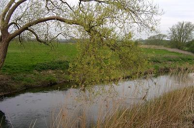 Thames Downstream of Cricklade